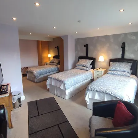 Dublin Airport Beaumont Hospital Marie'S Bed And Breakfast-3